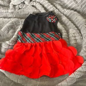 PetSmart holiday dog dress